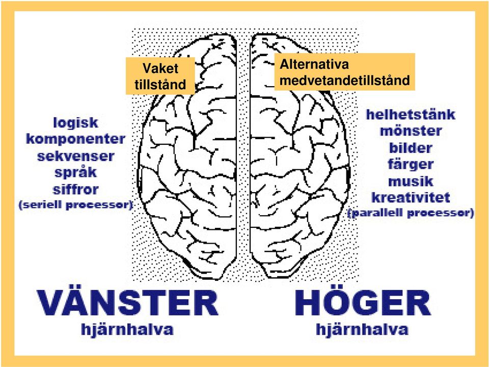 Alternativa