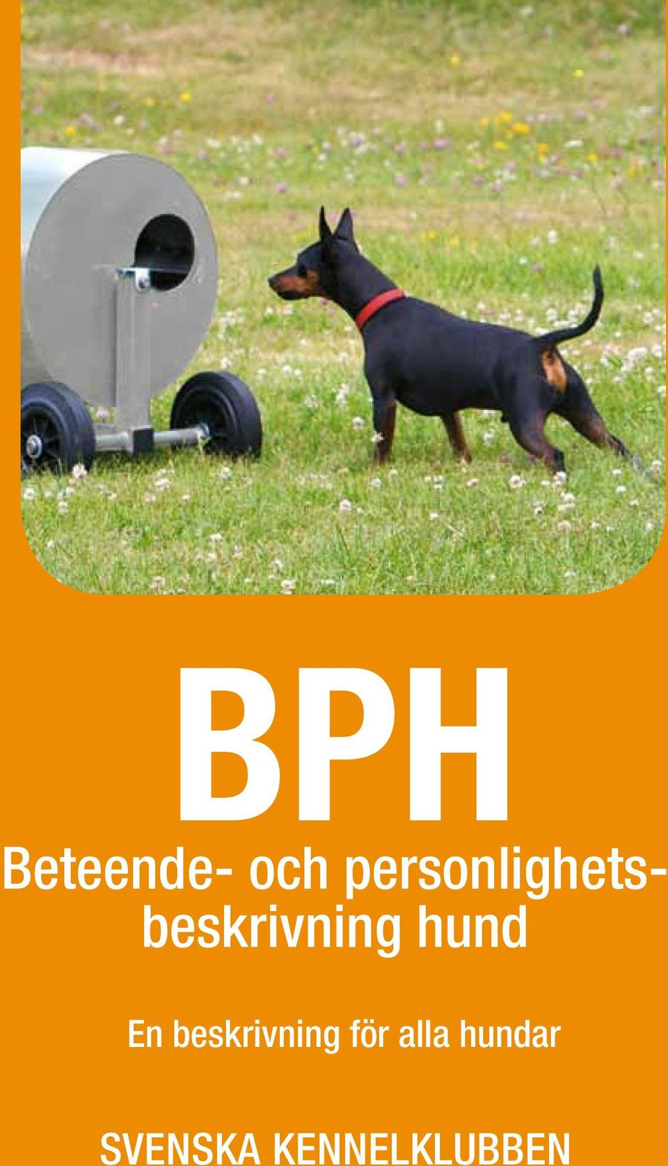 hund En beskrivning för