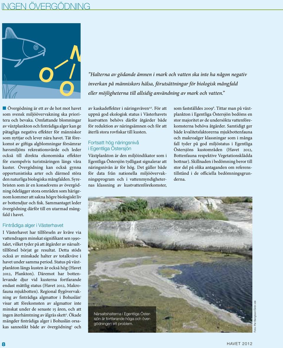 Omfattande blomningar av växtplankton och fintrådiga alger kan ge påtagliga negativa effekter för människor som nyttjar och lever nära havet.