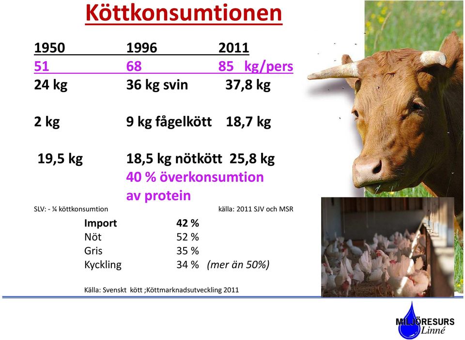 protein SLV: - ¼ köttkonsumtion källa: 2011 SJV och MSR Import 42 % Nöt 52 %