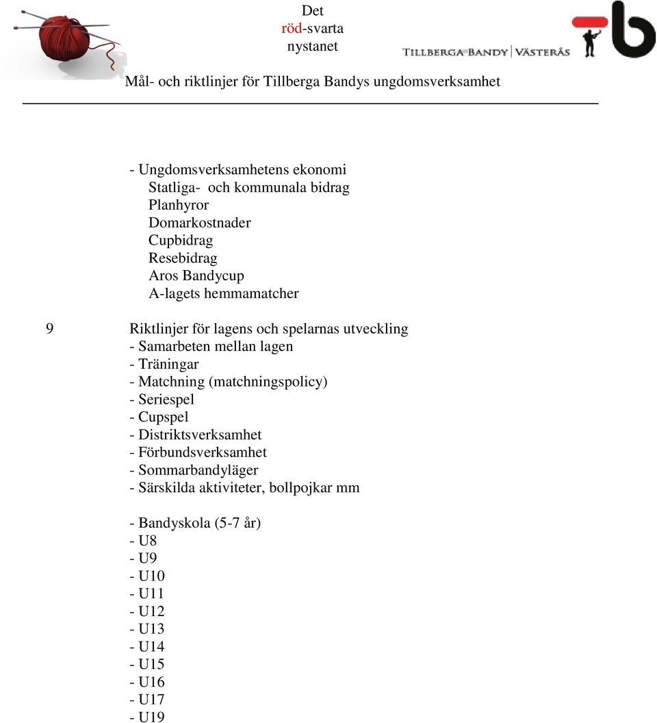 - Matchning (matchningspolicy) - Seriespel - Cupspel - Distriktsverksamhet - Förbundsverksamhet - Sommarbandyläger -