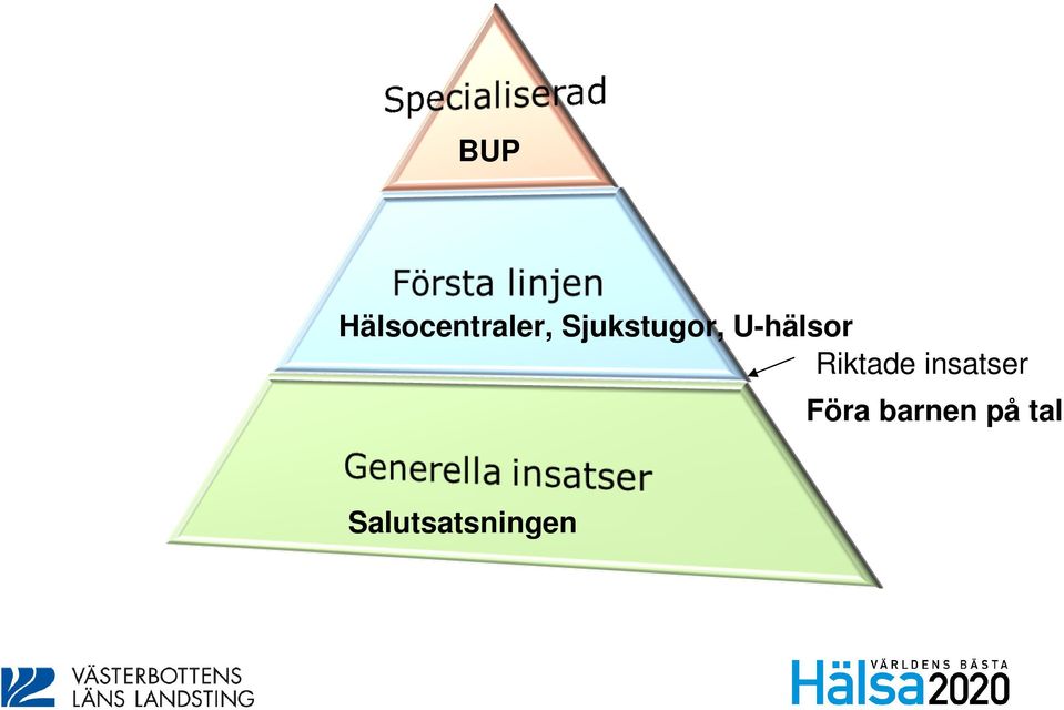 Riktade insatser Föra