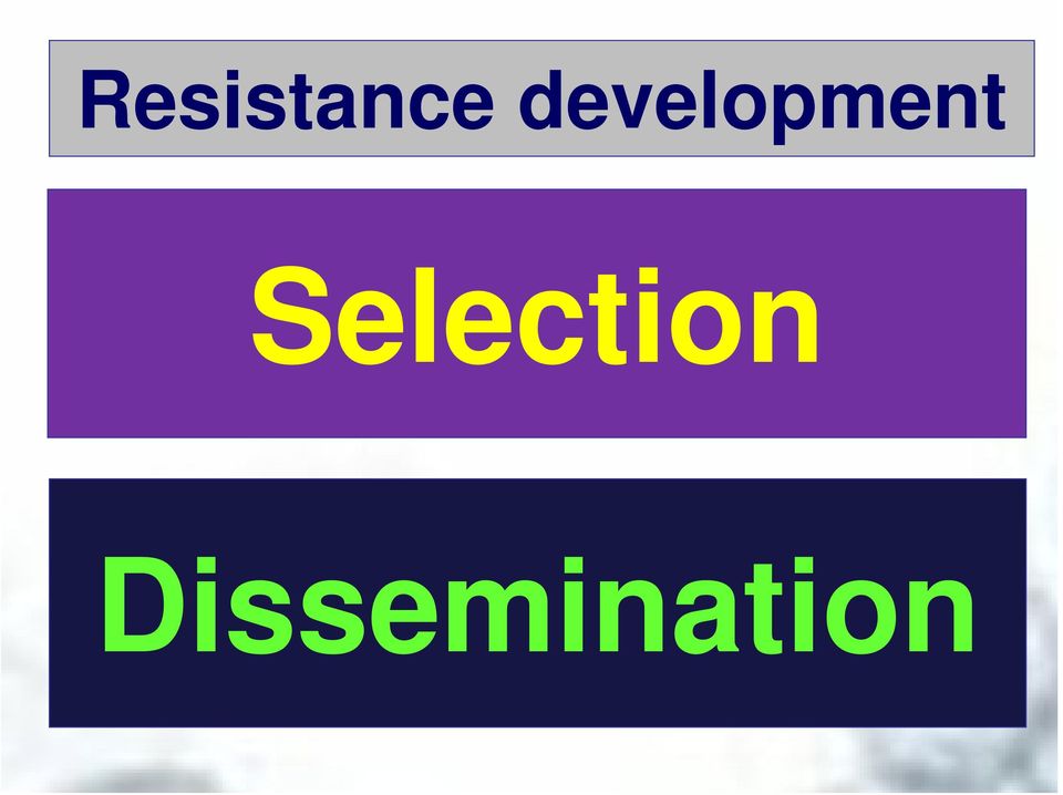 Selection
