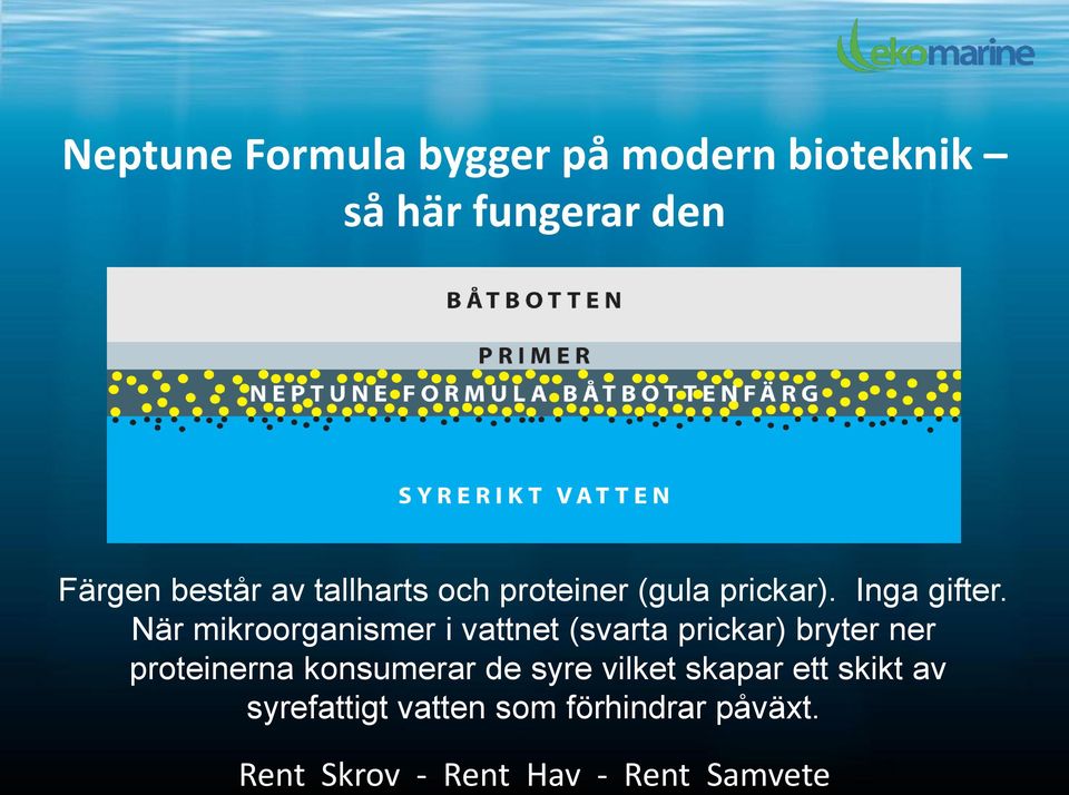 När mikroorganismer i vattnet (svarta prickar) bryter ner proteinerna