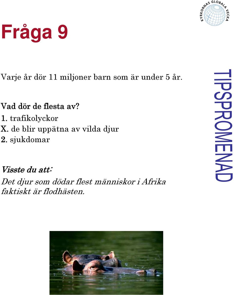 de blir uppätna av vilda djur 2.