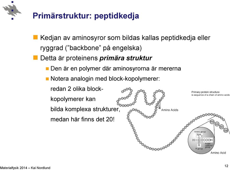 en polymer där aminosyrorna är mererna Notera analogin med block-kopolymerer: