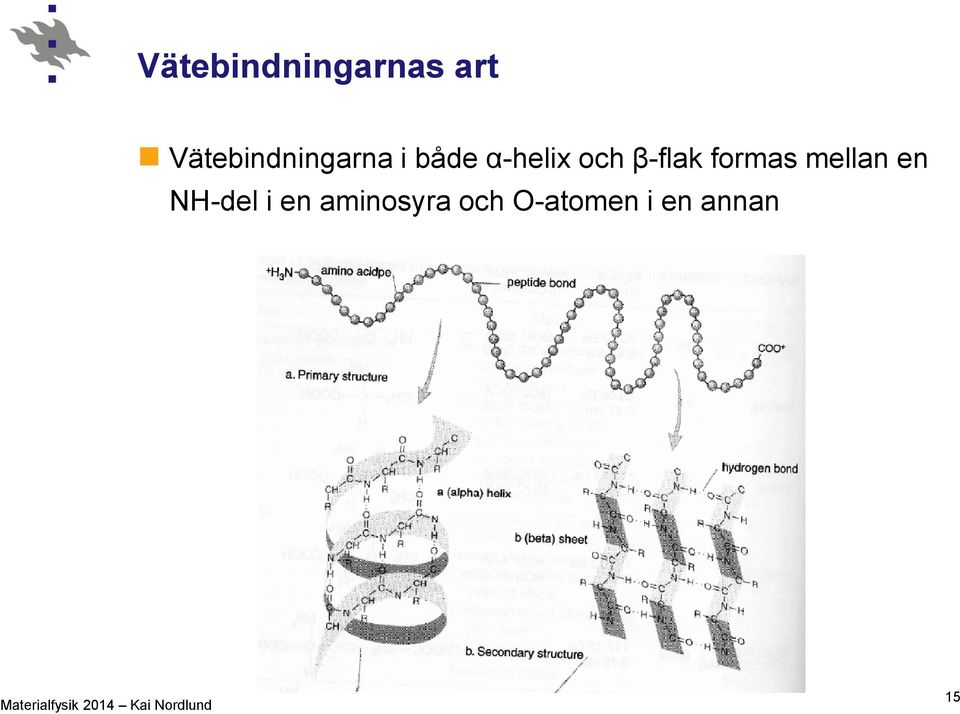 och β-flak formas mellan en