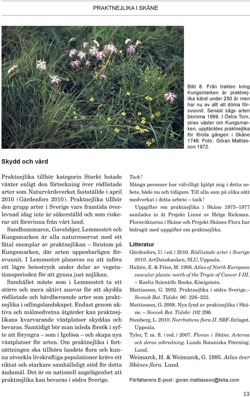 Skydd och vård Praktnejlika tillhör kategorin Starkt hotade växter enligt den förteckning över rödlistade arter som Naturvårdsverket fastställde i april 2010 ( Gärdenfors 2010 ).