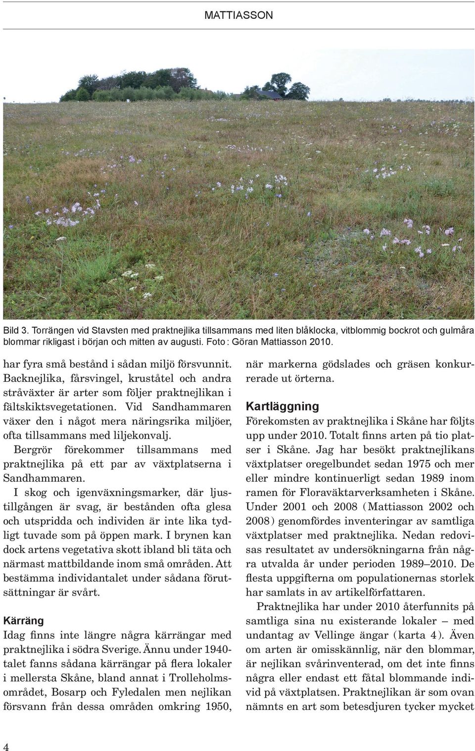 Vid Sandhammaren växer den i något mera näringsrika miljöer, ofta tillsammans med liljekonvalj. Bergrör förekommer tillsammans med praktnejlika på ett par av växtplatserna i Sandhammaren.