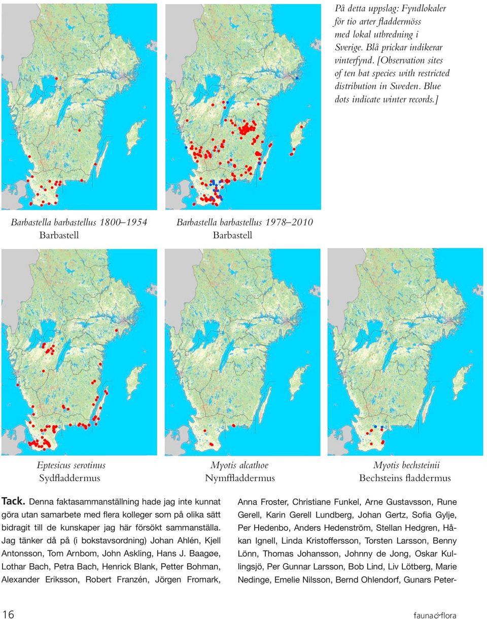 ] Barbastella barbastellus 1800 1954 Barbastella barbastellus 1978 2010 Barbastell Barbastell Eptesicus serotinus Myotis alcathoe Myotis bechsteinii Sydfladdermus Nymffladdermus Bechsteins fladdermus