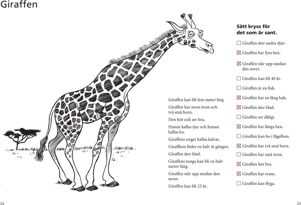 Giraffkon föder en kalv åt gången. Giraffen äter blad. Giraffens tunga kan bli en halv meter lång. Giraffen står upp medan den sover. Giraffen kan bli 25 år. M Giraffen har en lång hals.