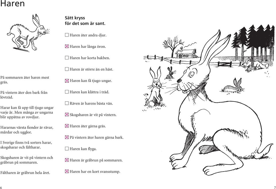 I Sverige finns två sorters harar, skogsharar och fältharar. Skogsharen är vit på vintern och gråbrun på sommaren. Fältharen är gråbrun hela året. h Haren kan få tjugo ungar.