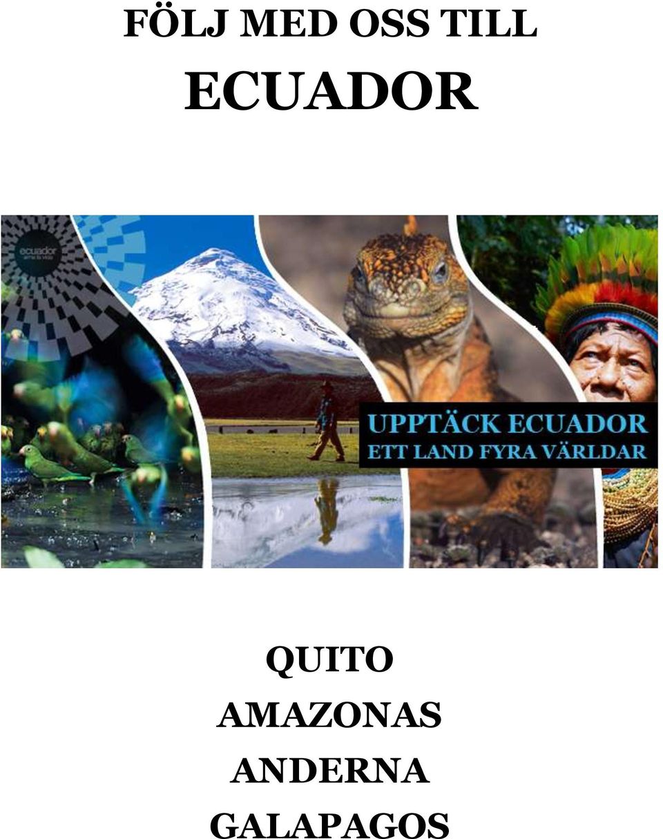 QUITO AMAZONAS