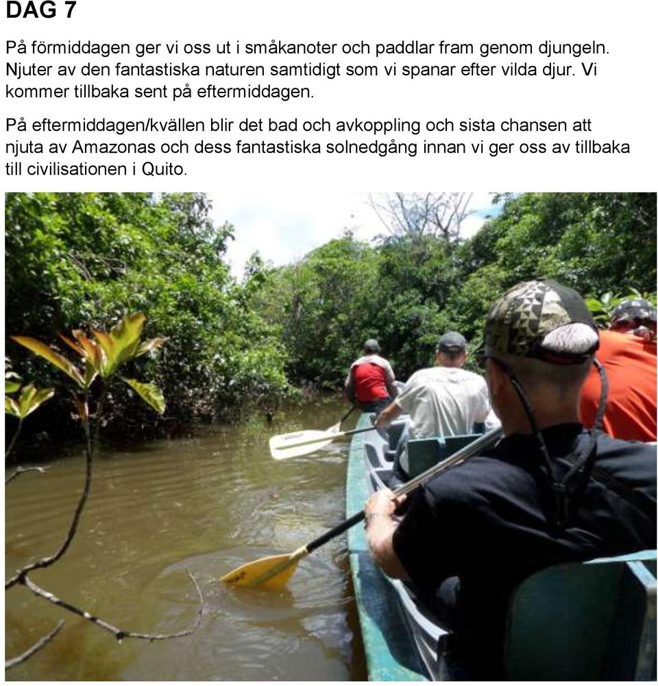 Vi kommer tillbaka sent på eftermiddagen.