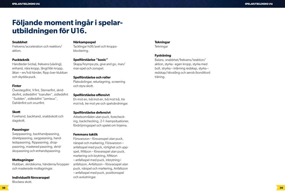 Finter Överstegsfint, V-fint, Sternerfint, skridskofint, sidledsfint toarullen, sidledsfint Sudden, sidledsfint Lemieux, Dahlénfint och snurrfint. Skott Forehand, backhand, snabbskott och slagskott.