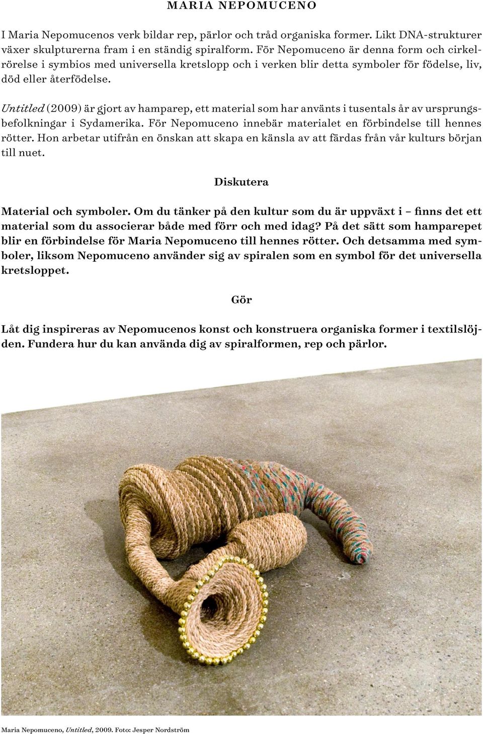 Untitled (2009) är gjort av hamparep, ett material som har använts i tusentals år av ursprungsbefolkningar i Sydamerika. För Nepomuceno innebär materialet en förbindelse till hennes rötter.