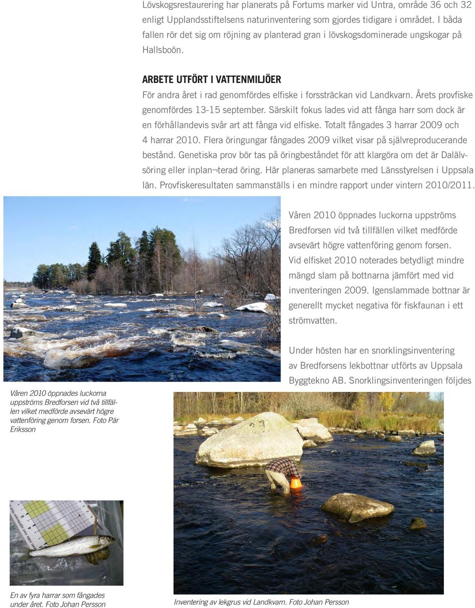 Årets provfiske genomfördes 13-15 september. Särskilt fokus lades vid att fånga harr som dock är en förhållandevis svår art att fånga vid elfiske. Totalt fångades 3 harrar 2009 och 4 harrar 2010.