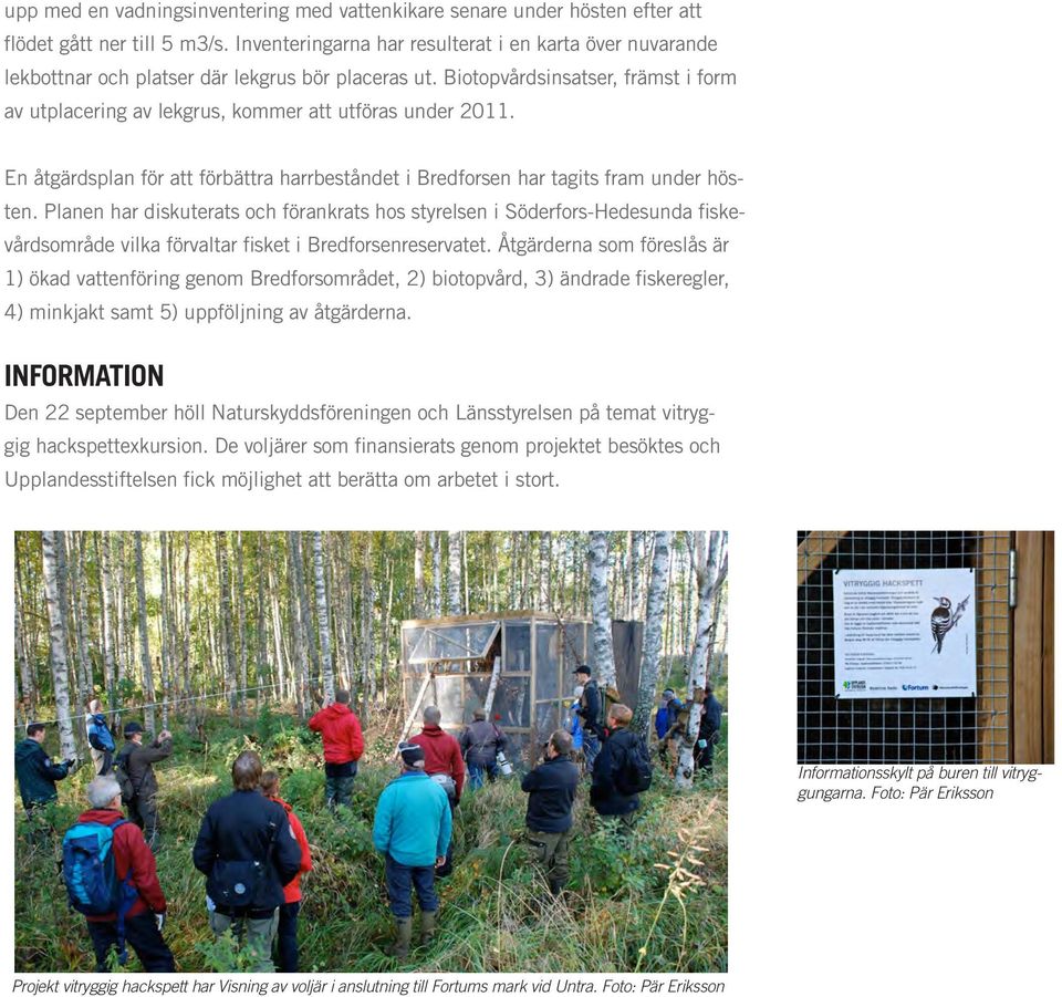Biotopvårdsinsatser, främst i form av utplacering av lekgrus, kommer att utföras under 2011. En åtgärdsplan för att förbättra harrbeståndet i Bredforsen har tagits fram under hösten.