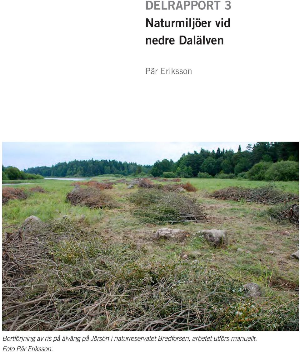 på älväng på Jörsön i naturreservatet
