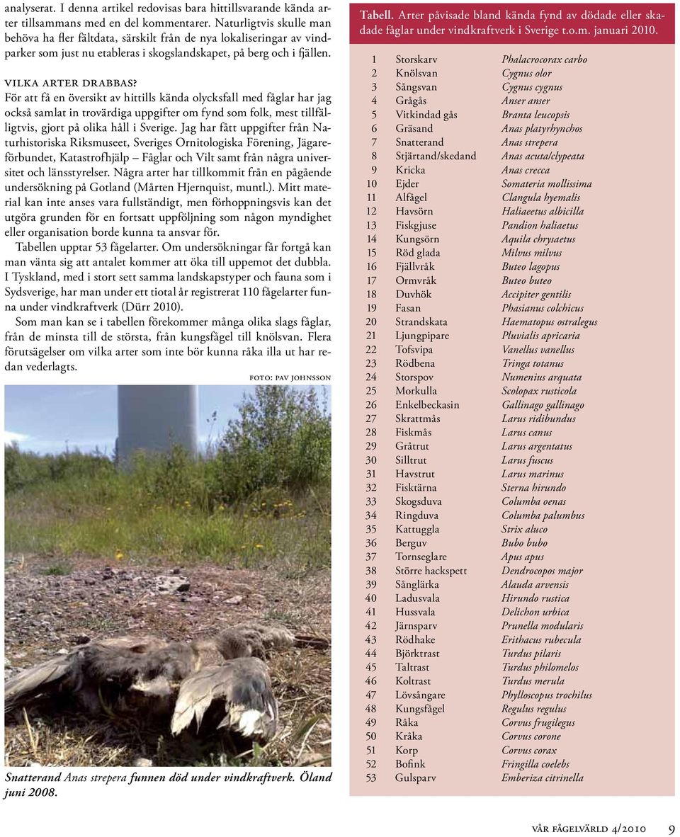För att få en översikt av hittills kända olycksfall med fåglar har jag också samlat in trovärdiga uppgifter om fynd som folk, mest tillfälligtvis, gjort på olika håll i Sverige.