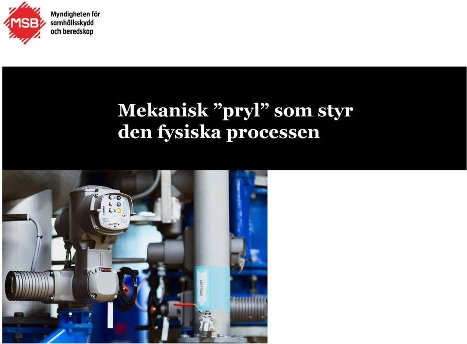 styr den