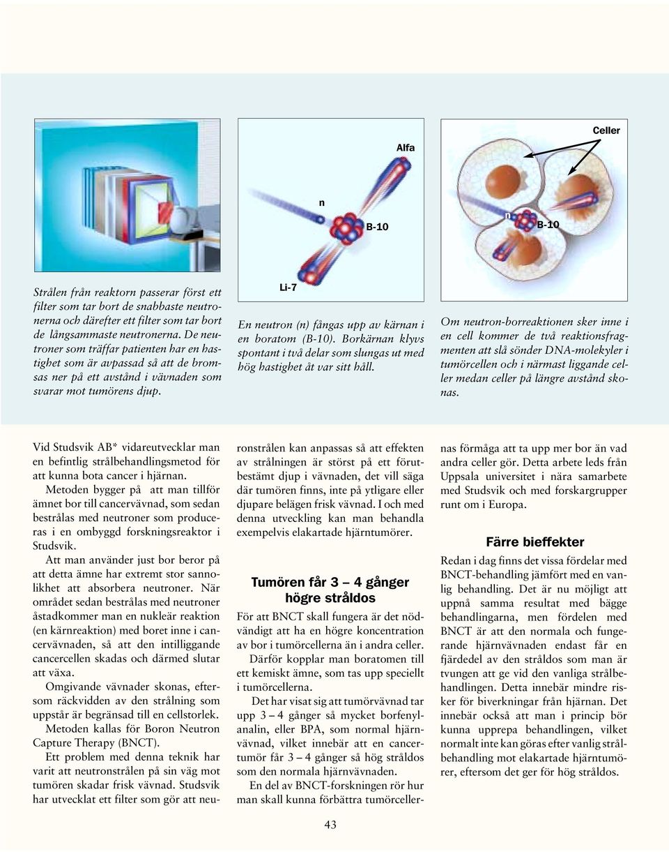 Li-7 En neutron (n) fångas upp av kärnan i en boratom (B-10). Borkärnan klyvs spontant i två delar som slungas ut med hög hastighet åt var sitt håll.