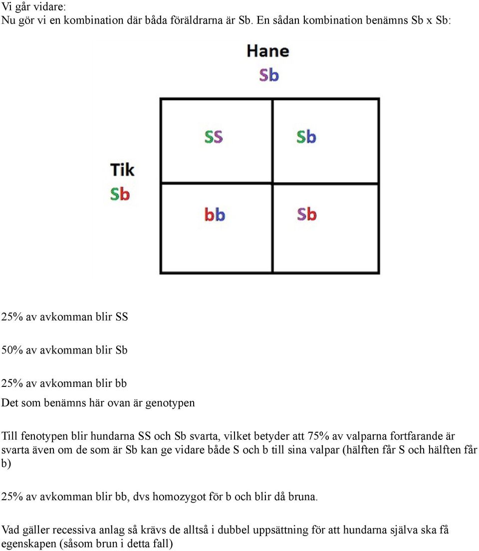 fenotypen blir hundarna SS och Sb svarta, vilket betyder att 75% av valparna fortfarande är svarta även om de som är Sb kan ge vidare både S och b till
