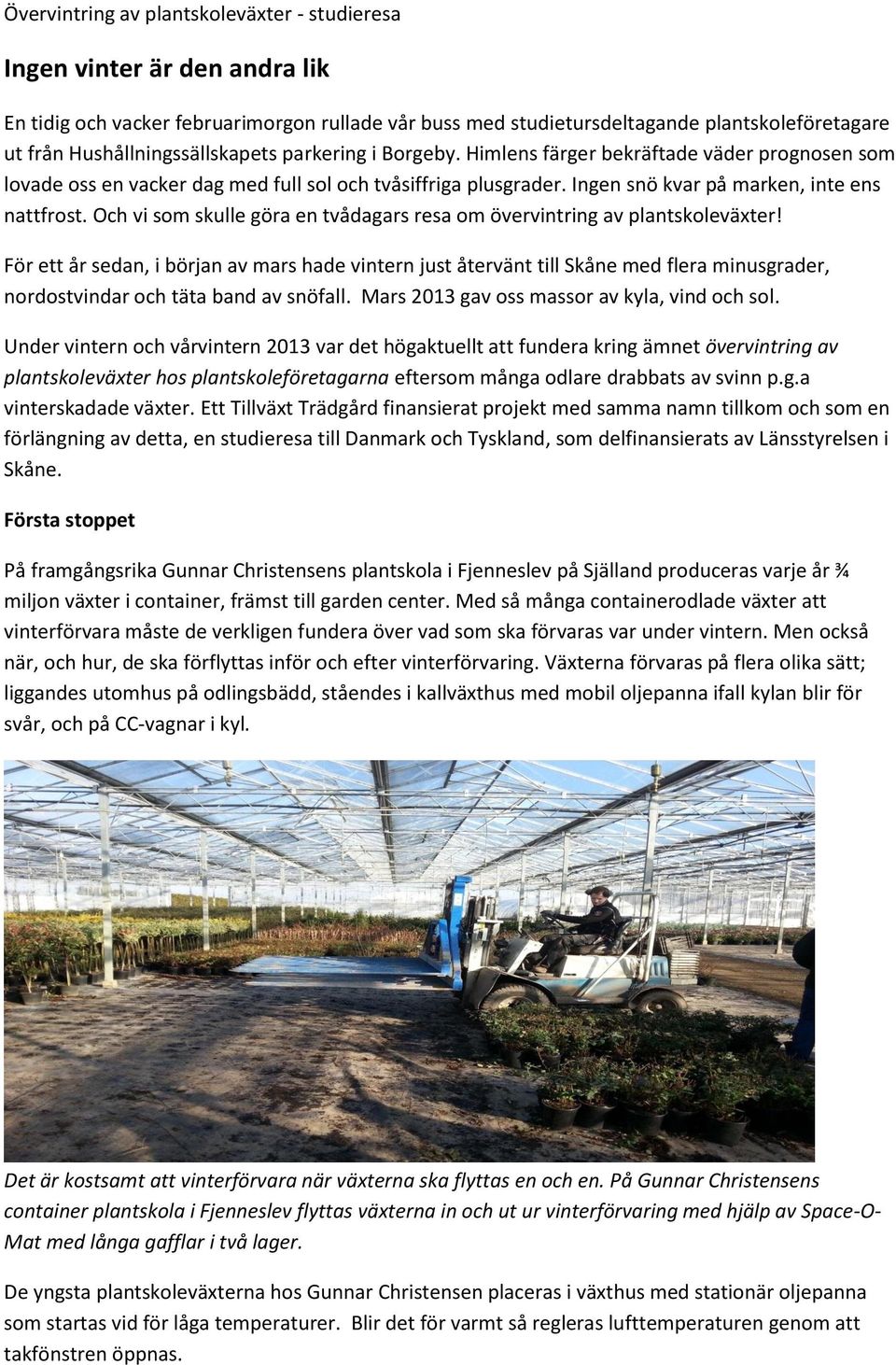 Ingen snö kvar på marken, inte ens nattfrost. Och vi som skulle göra en tvådagars resa om övervintring av plantskoleväxter!