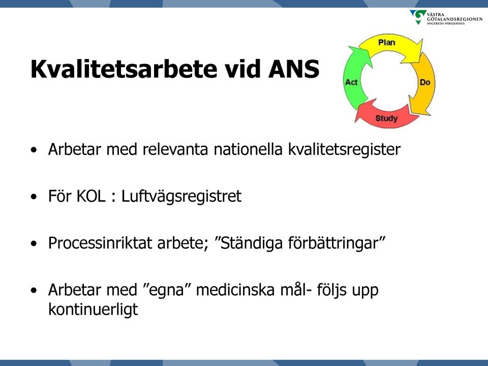 Luftvägsregistret Processinriktat arbete; Ständiga