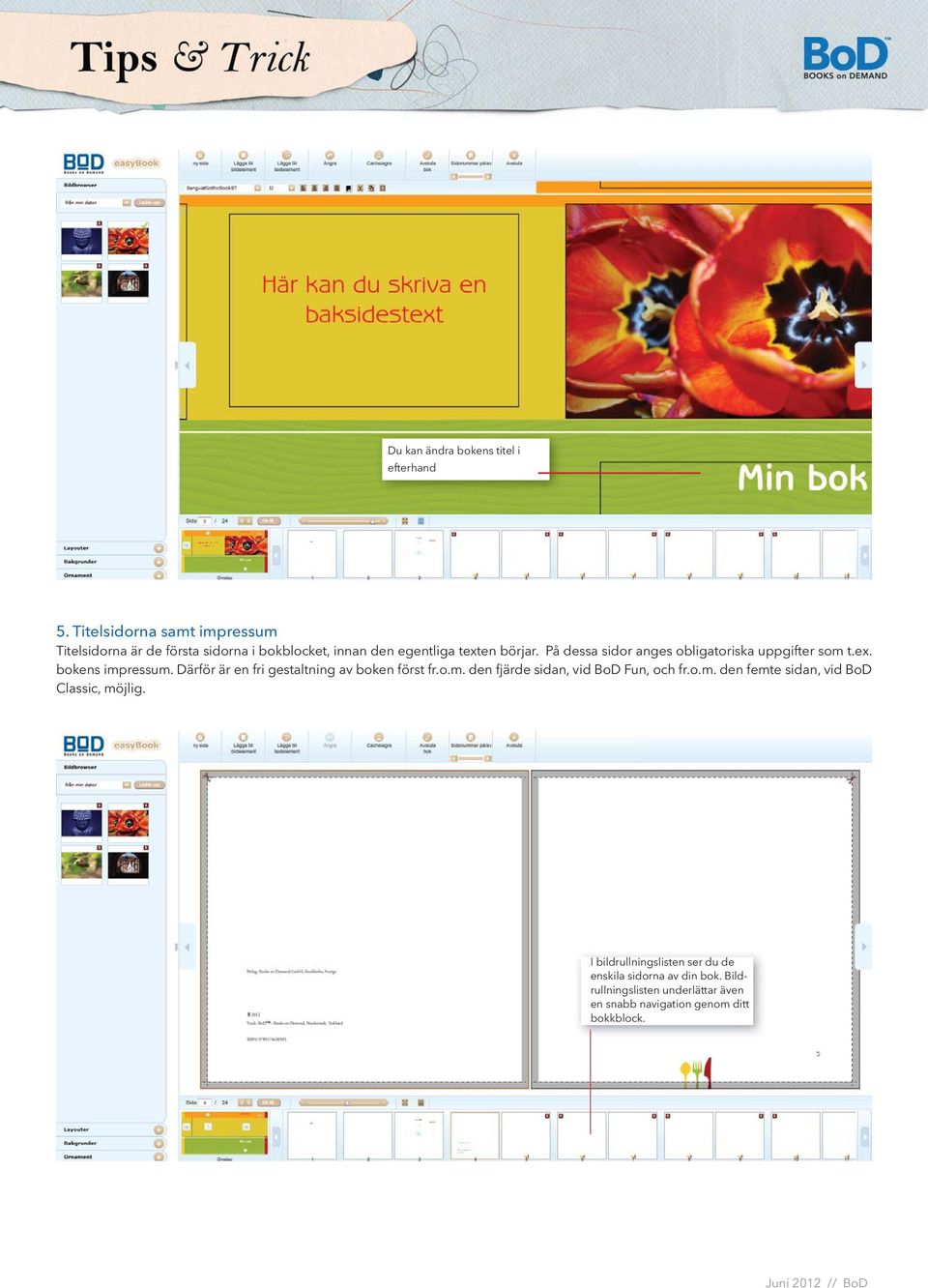 På dessa sidor anges obligatoriska uppgifter som t.ex. bokens impressum. Därför är en fri gestaltning av boken först fr.o.m. den fjärde sidan, vid BoD Fun, och fr.