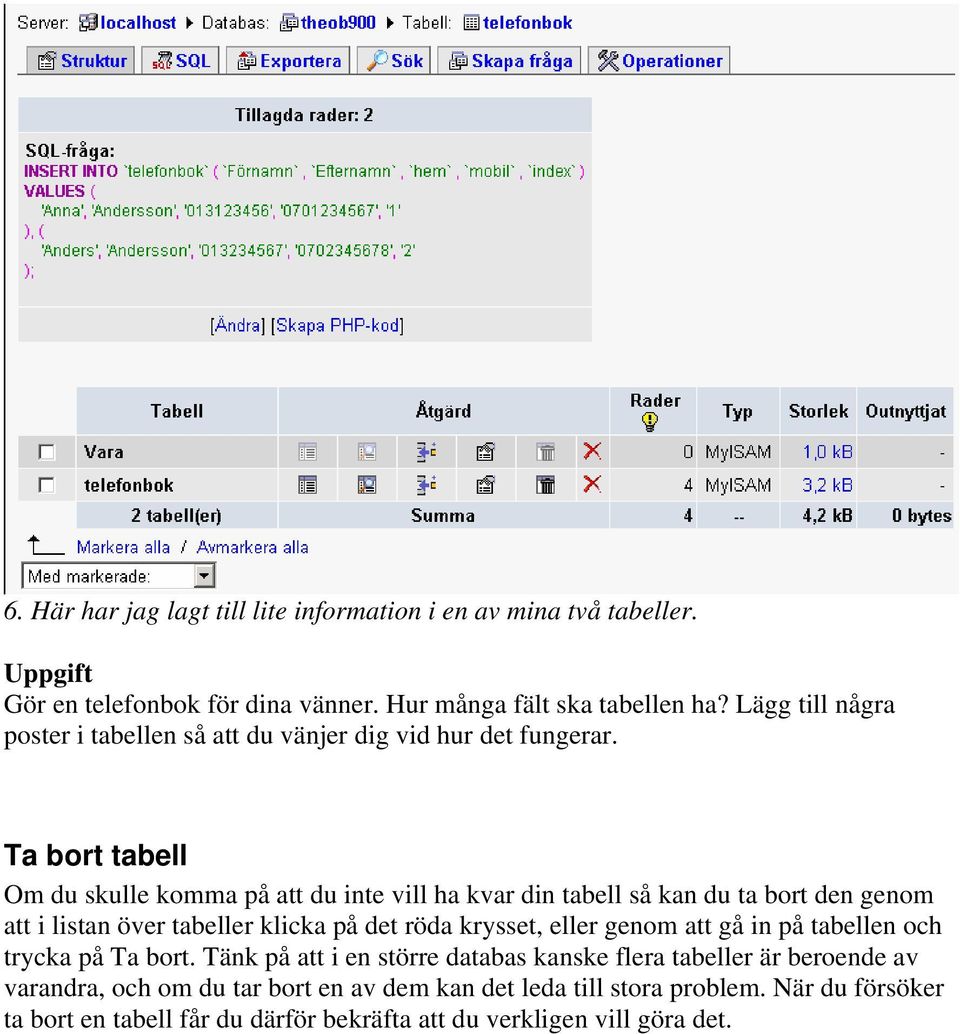 Ta bort tabell Om du skulle komma på att du inte vill ha kvar din tabell så kan du ta bort den genom att i listan över tabeller klicka på det röda krysset, eller