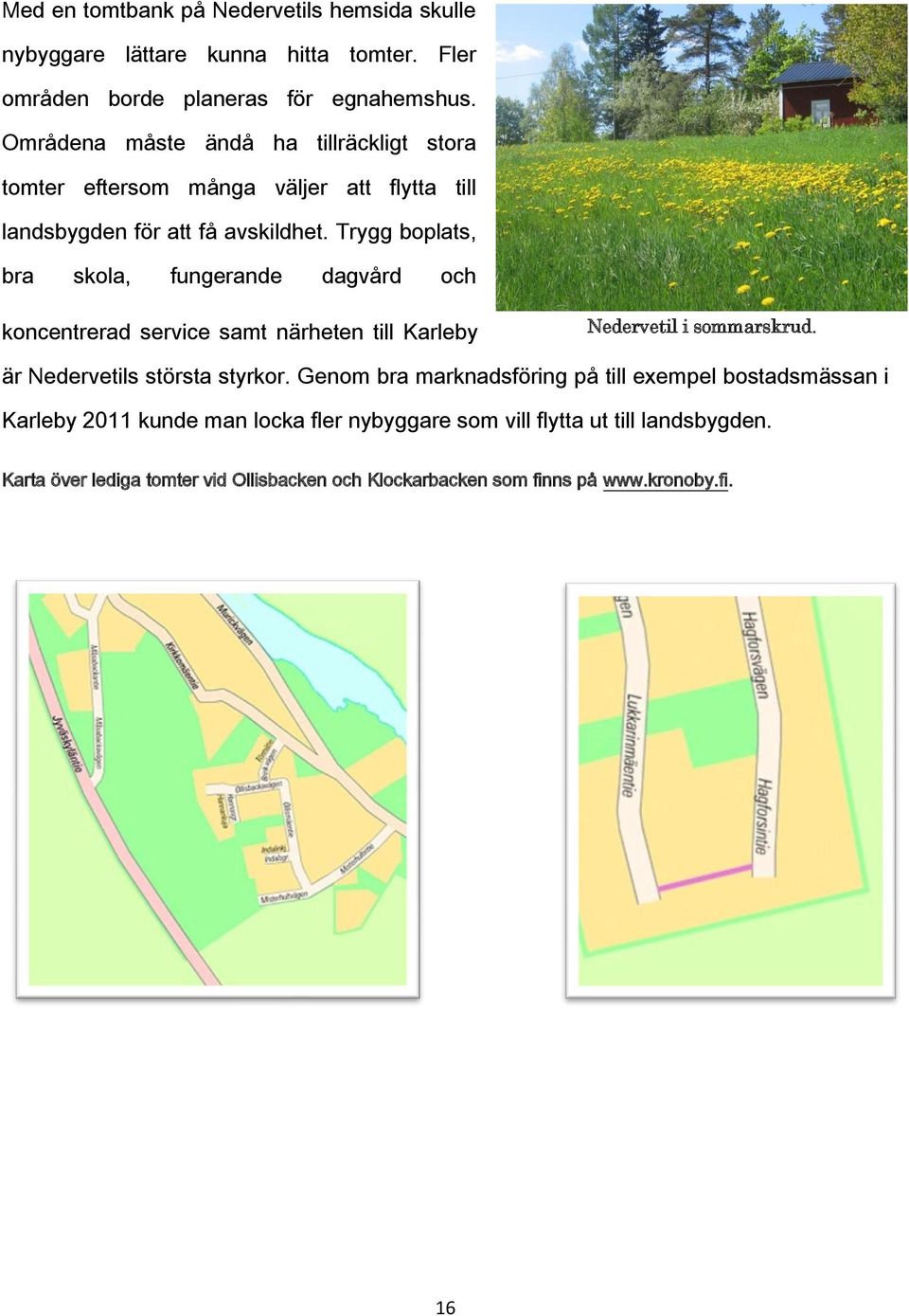 Trygg boplats, bra skola, fungerande dagvård och koncentrerad service samt närheten till Karleby Nedervetil i sommarskrud. är Nedervetils största styrkor.