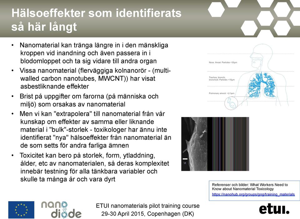 vi kan "extrapolera" till nanomaterial från vår kunskap om effekter av samma eller liknande material i "bulk"-storlek - toxikologer har ännu inte identifierat "nya" hälsoeffekter från nanomaterial än