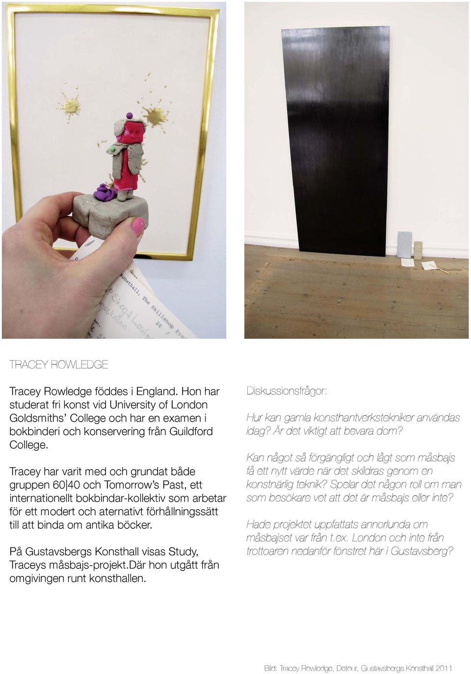 böcker. På Gustavsbergs Konsthall visas Study, Traceys måsbajs-projekt.där hon utgått från omgivingen runt konsthallen. Diskussionsfrågor: Hur kan gamla konsthantverkstekniker användas idag?