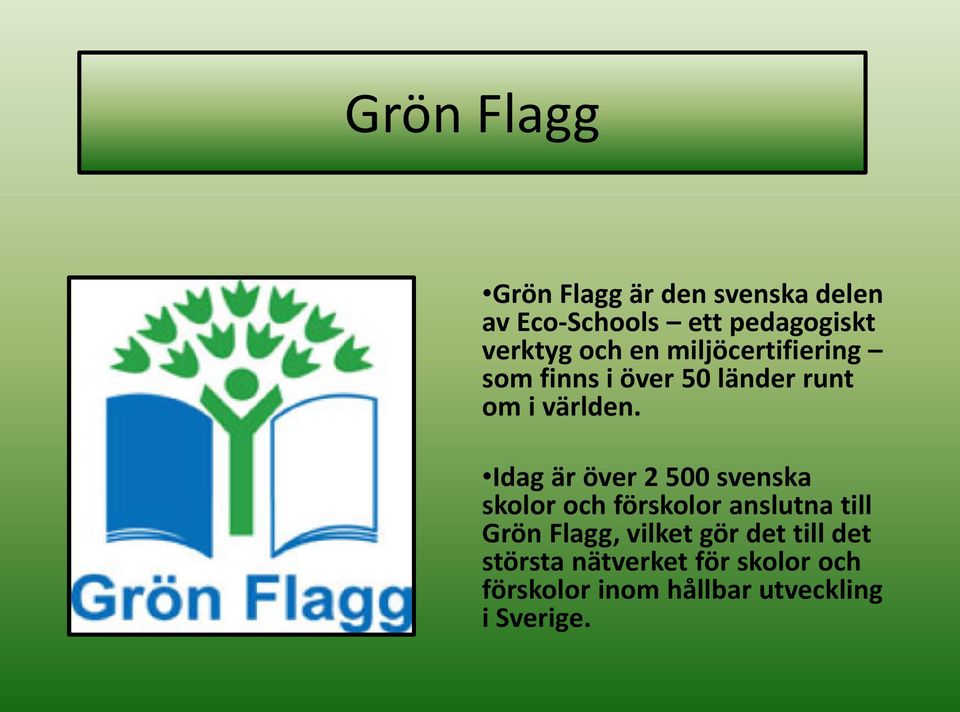 Idag är över 2 500 svenska skolor och förskolor anslutna till Grön Flagg, vilket