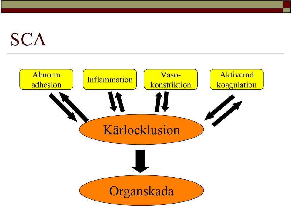 Vasokonstriktion