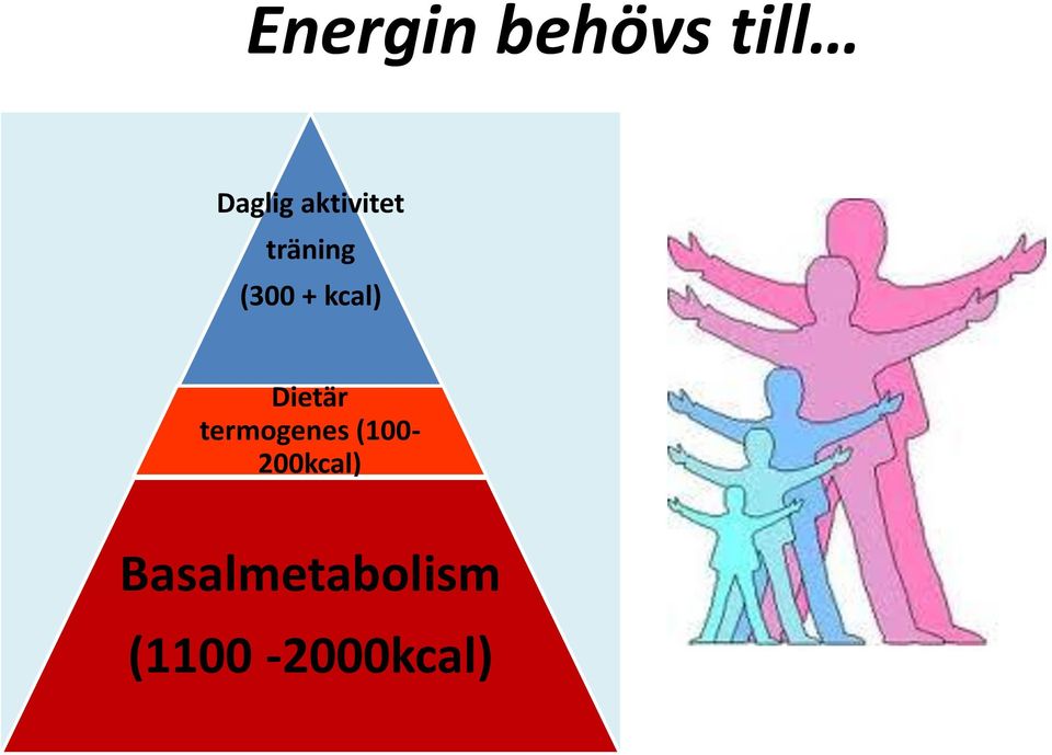 Dietär termogenes