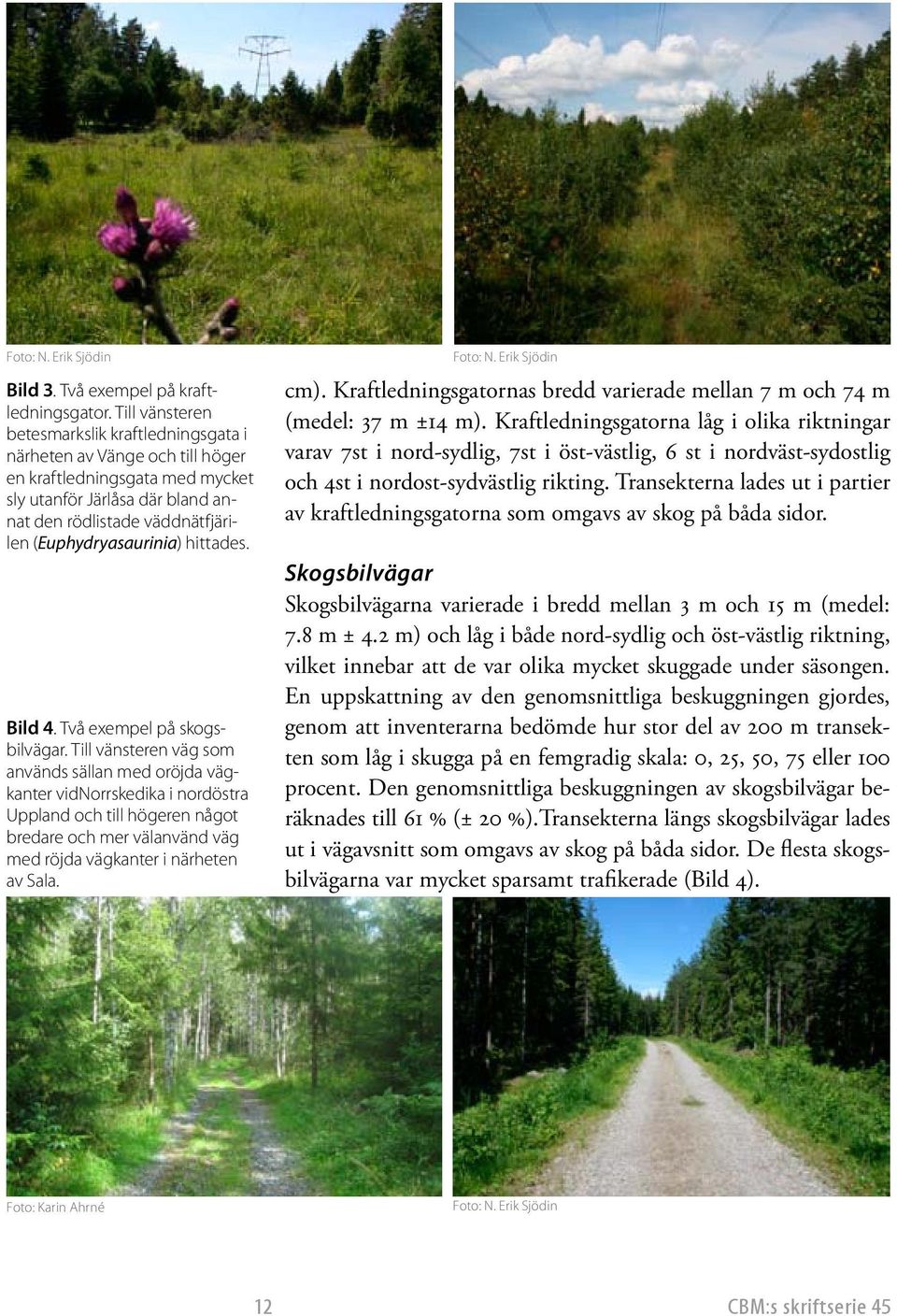 (Euphydryasaurinia) hittades. Bild 4. Två exempel på skogsbilvägar.