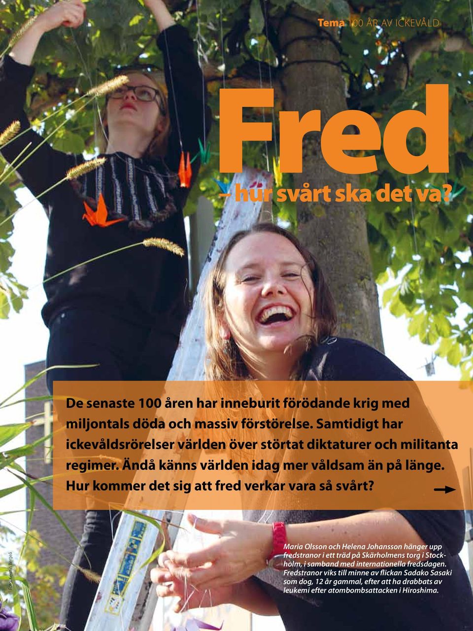 Hur kommer det sig att fred verkar vara så svårt?