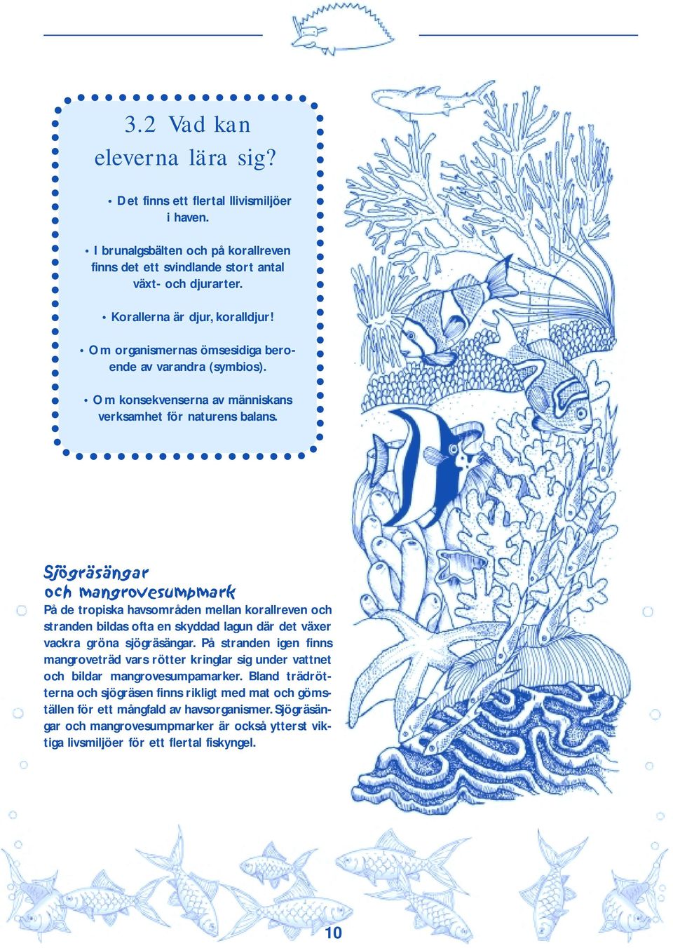 Sjögräsängar och mangrovesumpmark På de tropiska havsområden mellan korallreven och stranden bildas ofta en skyddad lagun där det växer vackra gröna sjögräsängar.