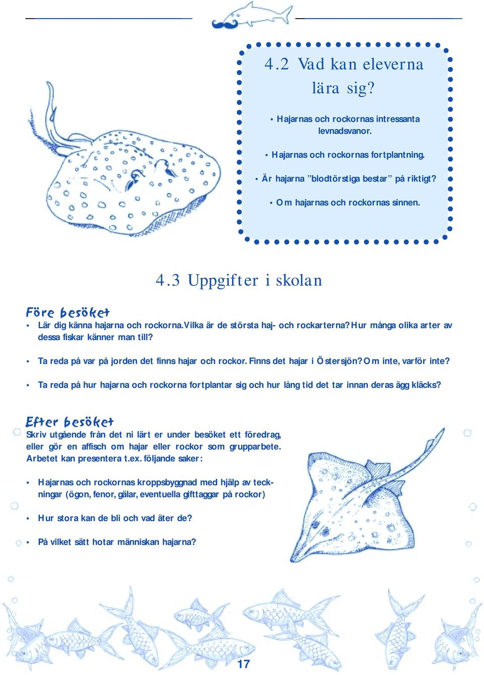 Ta reda på var på jorden det finns hajar och rockor. Finns det hajar i Östersjön? Om inte, varför inte?
