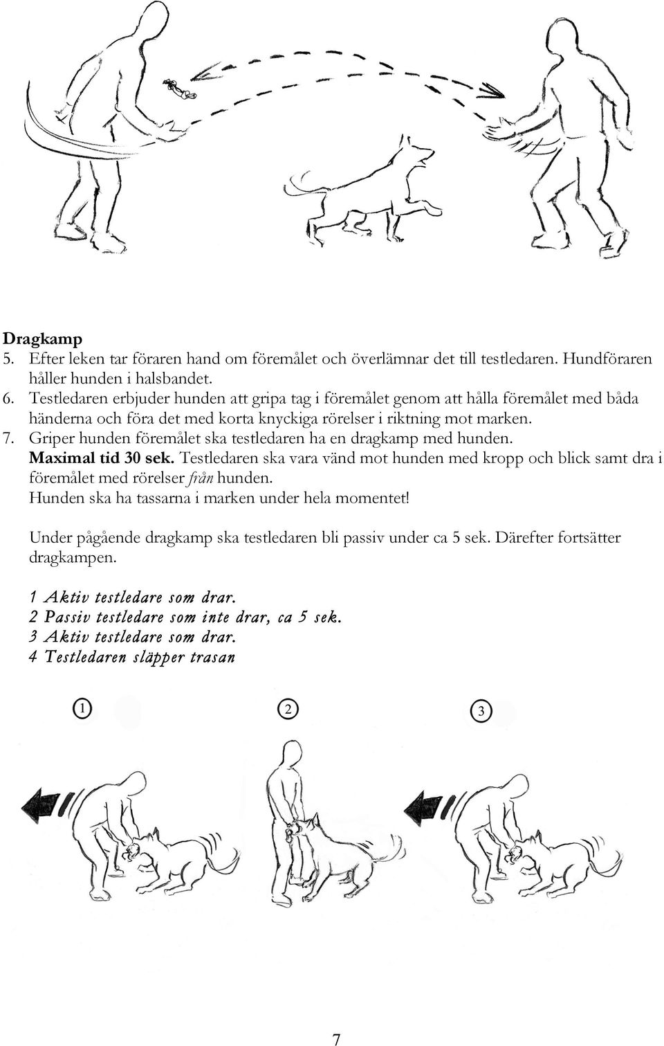 Griper hunden föremålet ska testledaren ha en dragkamp med hunden. Maximal tid 30 sek. Testledaren ska vara vänd mot hunden med kropp och blick samt dra i föremålet med rörelser från hunden.