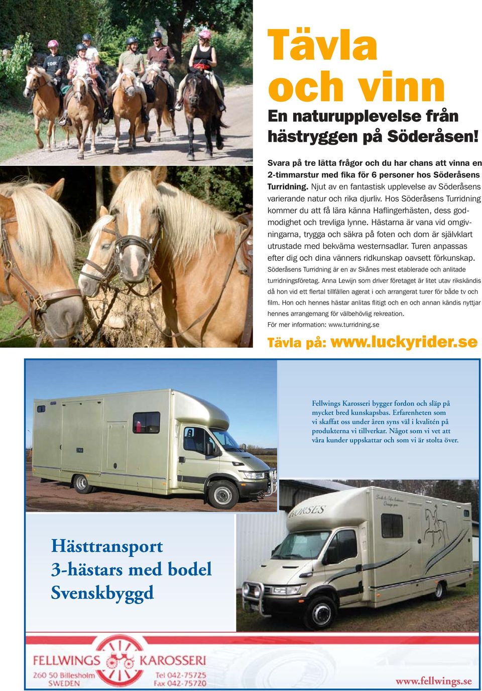 Hästarna är vana vid omgivningarna, trygga och säkra på foten och dom är självklart utrustade med bekväma westernsadlar. Turen anpassas efter dig och dina vänners ridkunskap oavsett förkunskap.