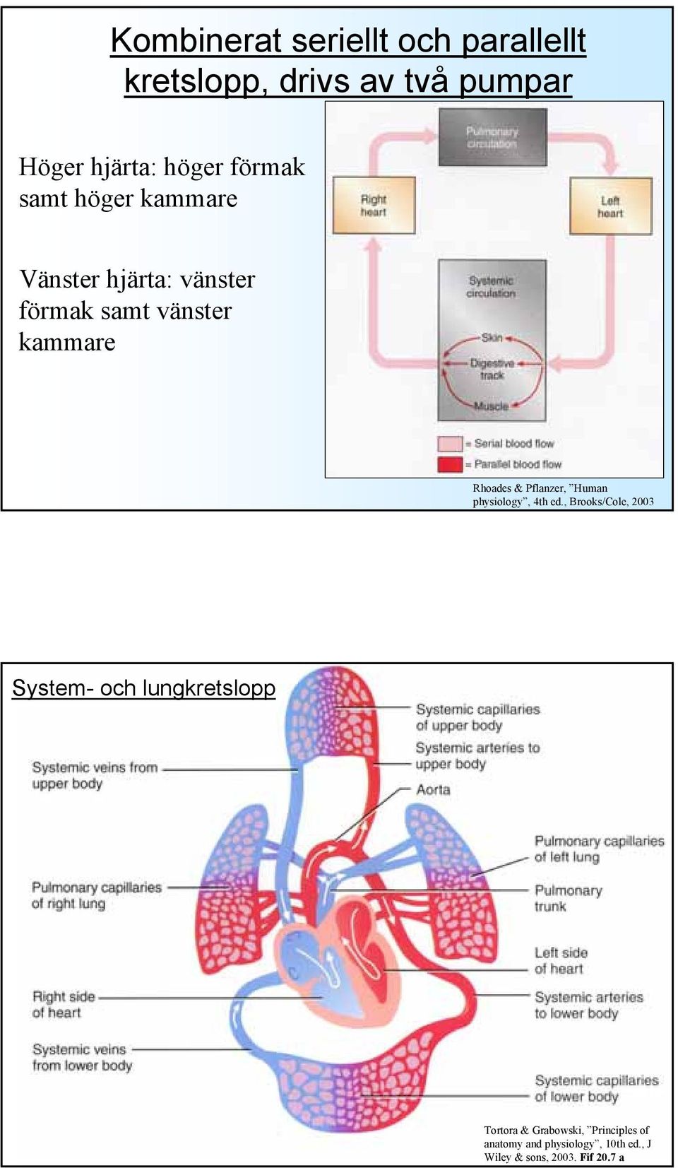 Pflanzer, Human physiology, 4th ed.