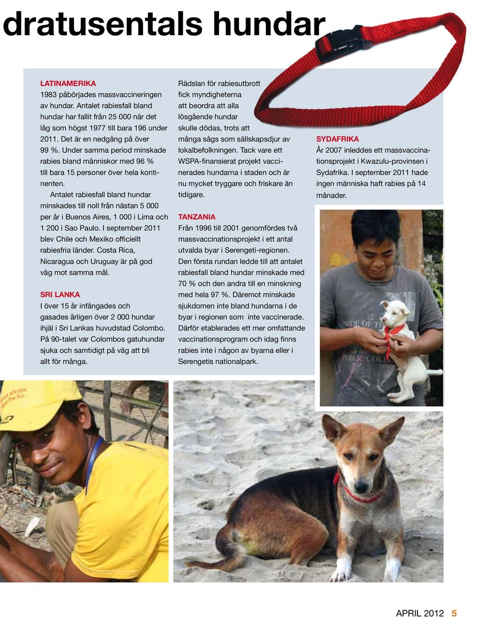 Antalet rabiesfall bland hundar minskades till noll från nästan 5 000 per år i Buenos Aires, 1 000 i Lima och 1 200 i Sao Paulo. I september 2011 blev Chile och Mexiko officiellt rabiesfria länder.