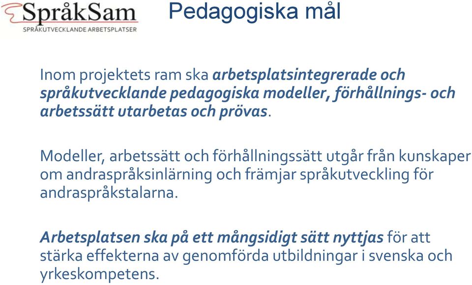 Modeller, arbetssätt och förhållningssätt utgår från kunskaper om andraspråksinlärning och främjar