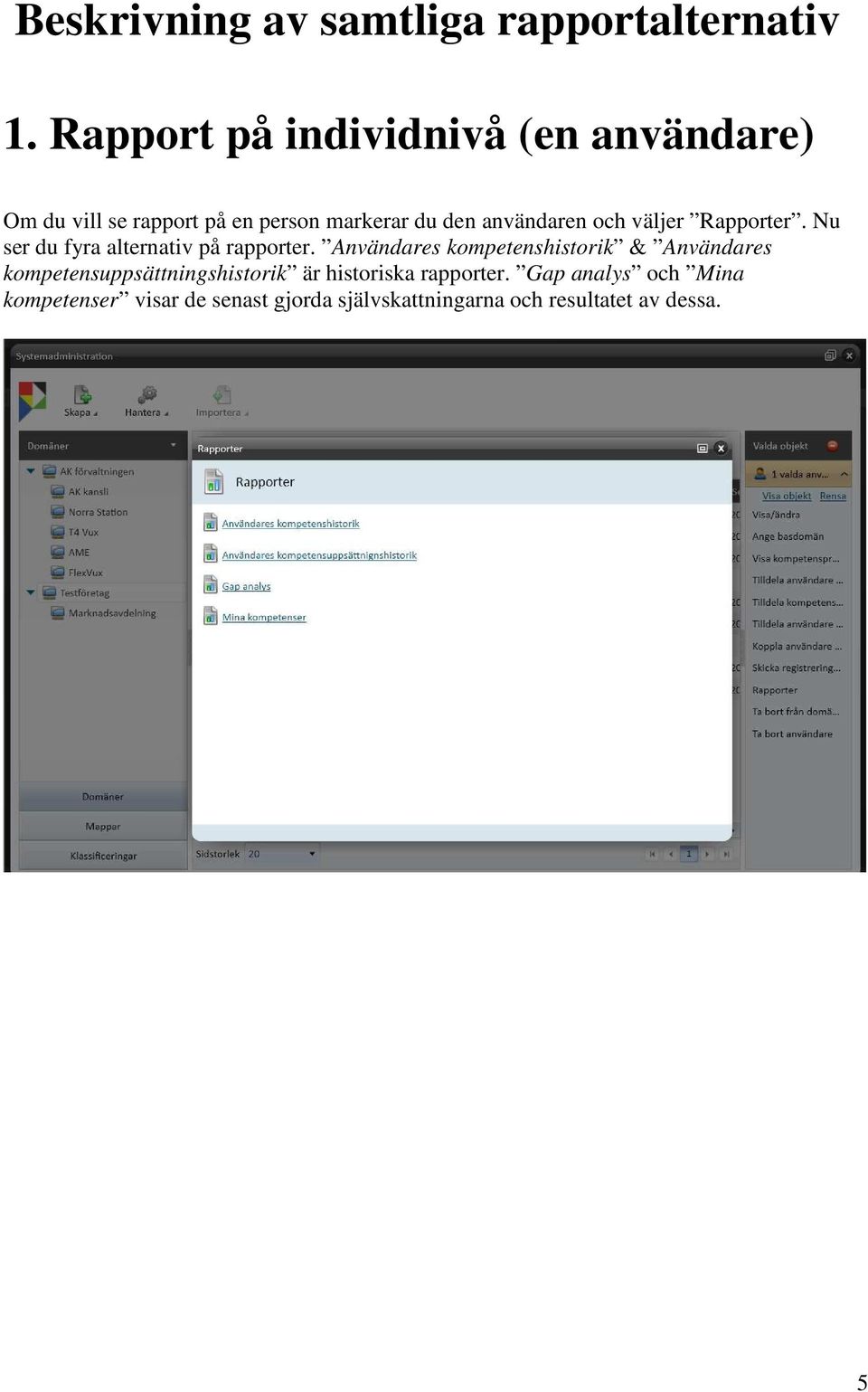 och väljer Rapporter. Nu ser du fyra alternativ på rapporter.