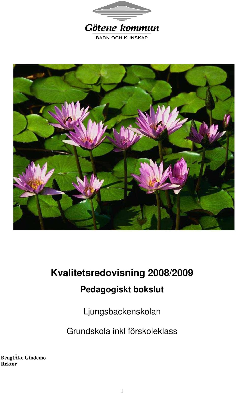 Pedagogiskt bokslut