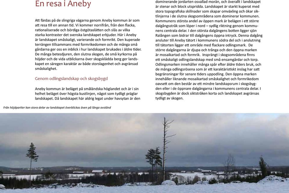 Här i Aneby är landskapet småskaligt, varierande och formrikt.