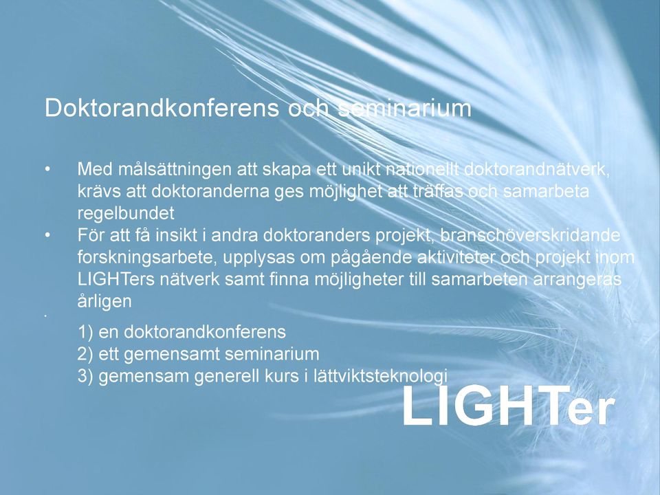 branschöverskridande forskningsarbete, upplysas om pågående aktiviteter och projekt inom LIGHTers nätverk samt finna